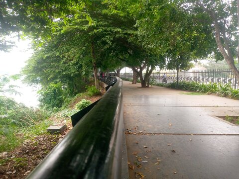 walking in the park , natural place, cbe , 