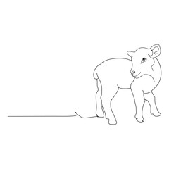 lamb line art.eps
