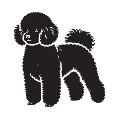 Cute Bichon Frise silhouette capturing its lively and friendly nature - Bichon Frise illustration - minimal Bichon Frise vector - dog silhouette
