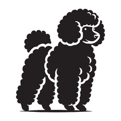 Bichon Frise silhouette with a fluffy and well-groomed appearance - Bichon Frise illustration - minimal Bichon Frise vector - dog silhouette
