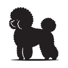 Elegant Bichon Frise silhouette for stylish graphic designs - Bichon Frise illustration - minimal Bichon Frise vector - dog silhouette
