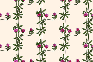 Botanical abstract plant seamless pattern with wildflowers Clovers vector illustration.Repeating retro floral pattern in pink color background. Graphic design for Wallpaper Textile Cover Birthday Card