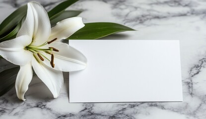White lily and blank card on marble.