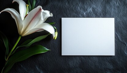 White lily flower beside blank card on dark stone.