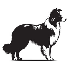 Simplistic Border Collie silhouette for professional design projects - Border Collie illustration - minimal Border Collie vector - dog silhouette
