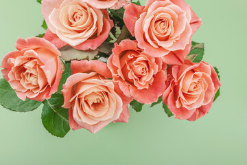 Obraz premium A bouquet of roses in vase on a pastel green background. Blooming flowers, festive concept