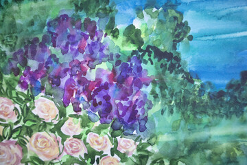 Original painting watercolor. Panorama blossom roses and wisteria. Morning fog greenery with water surface.