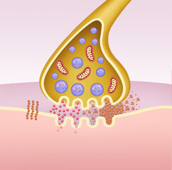 Illustration of the synapse in Alzheimer's, beta-amyloid tangles damage neuronal connections, affecting memory, and causing progressive degeneration.