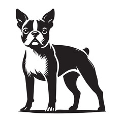 Elegant Boston Terrier silhouette for stylish designs - Boston Terrier illustration - minimalist Boston Terrier vector - dog silhouette
