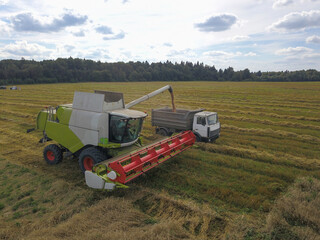 A special combine harvests the crop.