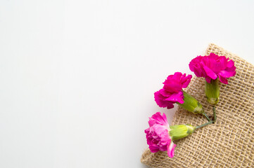 Spring layout for a creative greeting card, three pink carnations on a burlap and a place for text, the concept of design of a greeting card for mother's Day