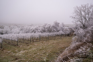 Eislandschaft Ruppersthal Nieder&ouml;sterreich