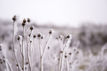 Eislandschaft Ruppersthal Nieder&ouml;sterreich