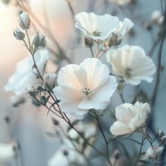 Close-Up View of Delicate Pale-Cream to White Flowers Blooming at Dawn