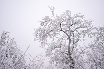 Eislandschaft Ruppersthal Niederösterreich