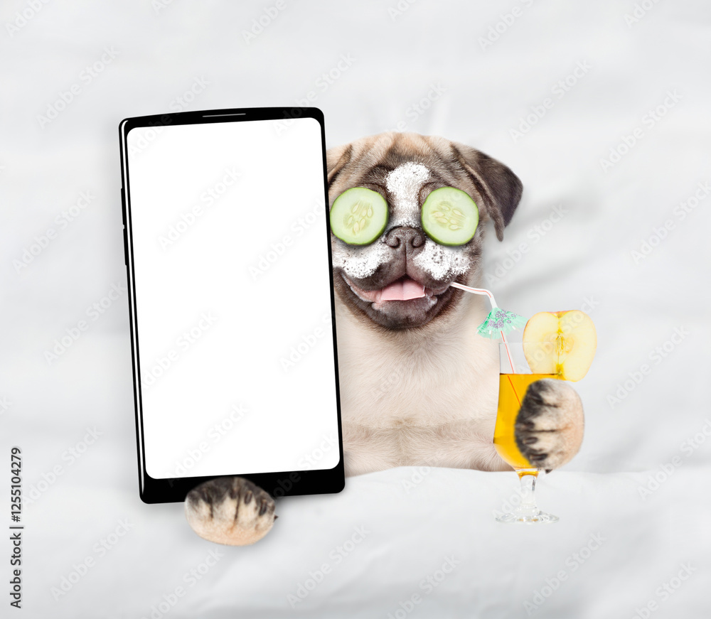 Aufkleber Happy Pug puppy with a pieces of cucumber on it eyes relaxing on the bed at home and showing big smartphone with white screen in it paw. Top down view. Empty space for text
