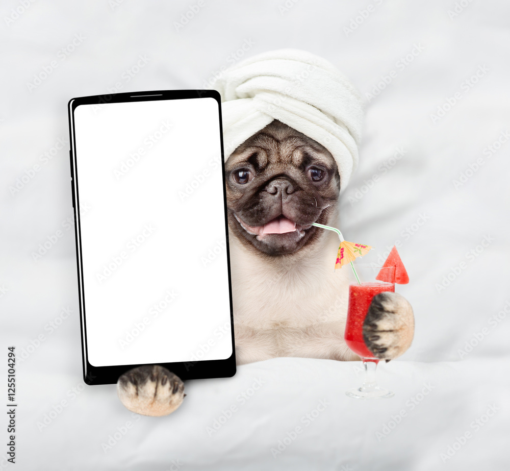 Aufkleber Happy Pug puppy with towel on it head relaxing on the bed at home and showing big smartphone with white screen in it paw. Top down view. Empty space for text