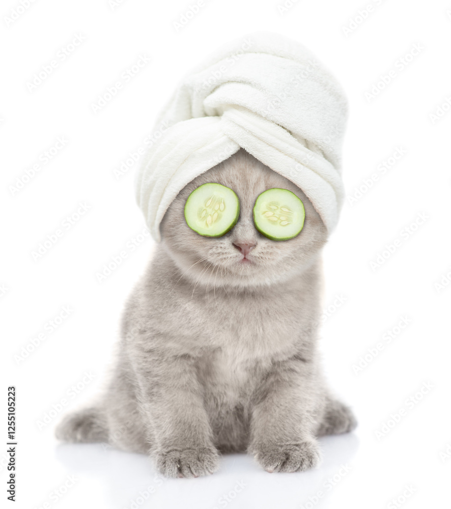 Poster Funny kitten with slices of cucumber on it eyes and with towel on it head stands in front view. isolated on white background