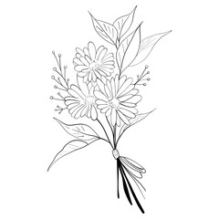 Obraz premium tiny wild flowers and plants line art botanical illustrations. Trendy greenery hand draw lines black ink sketches. vector illustration 