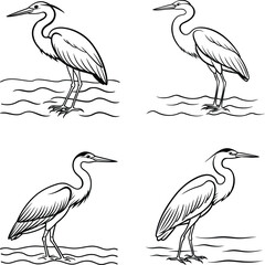 great blue heron ardea cinerea