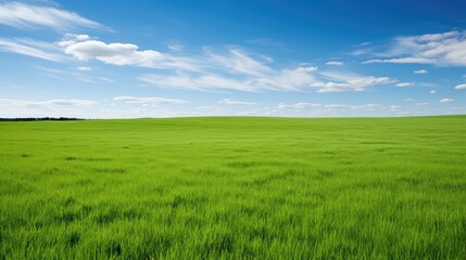 Obraz premium landscape green background grass