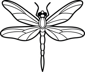 dragonfly on white background