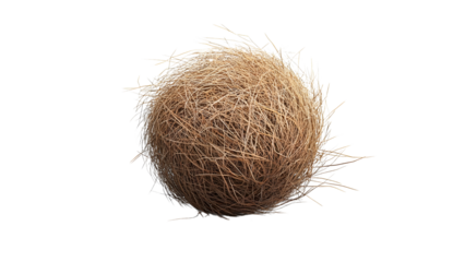 A single, perfectly round tumbleweed, rendered in detail, Isolated on white background.