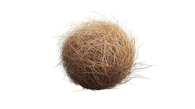 A single, perfectly round tumbleweed, rendered in detail, Isolated on white background.