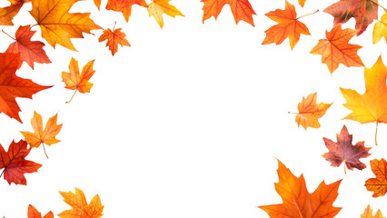 Maple autumn leaf illustration frame Isolated on white background.