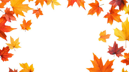 Fototapeta premium Maple autumn leaf illustration frame Isolated on white background.
