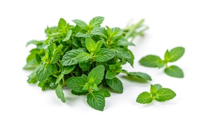 Fresh green mint leaves neatly arranged on a crisp white backdrop a symbol of purity and vitality