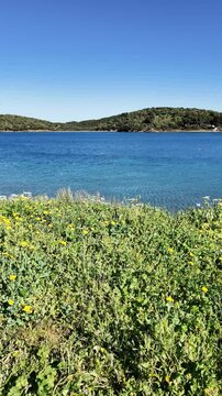 Kassandra coasline near village of Xina, Chalkidiki, Central Macedonia, Greece