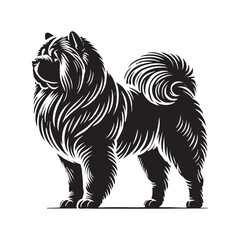 Dynamic Chow Chow silhouette with well-defined contours - Chow Chow illustration - minimal Chow Chow vector - dog silhouette
