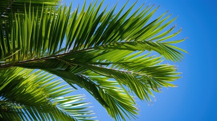 Naklejka premium breeze green leaves tropical