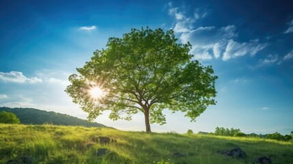 Obraz premium sky sunny blue skies