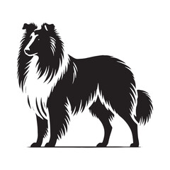 Beautifully shaped Collie silhouette with fine artistic balance - Collie illustration - minimal Collie vector - dog silhouette
