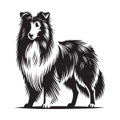 Professional Collie silhouette perfect for dog lovers and artists - Collie illustration - minimal Collie vector - dog silhouette

