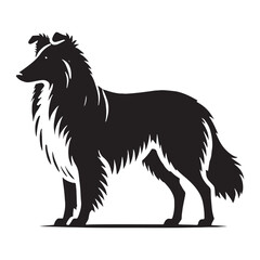 Versatile Collie silhouette designed for various creative uses - Collie illustration - minimal Collie vector - dog silhouette
