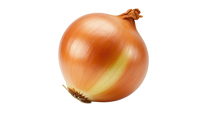 cebola