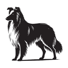 Collie silhouette designed for branding and digital artwork - Collie illustration - minimal Collie vector - dog silhouette
