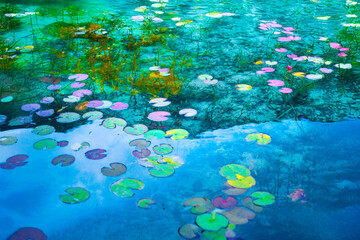 モネの池と呼ばれる池