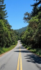 Fototapeta premium Straight road winds into a dense forest surrounded by lush greenery and blue sky. Generative AI