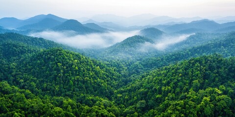 World wildlife day with conservation and awareness idea. Vast green mountains shrouded in misty atmosphere.