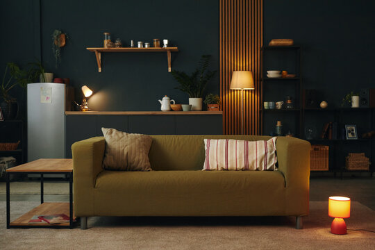 Modern living room featuring a comfortable sofa with pillows, wooden shelves, potted plants, and various decor items Creating a warm and inviting atmosphere