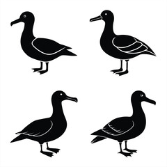 High-Quality Albatross Bird Silhouette Vector for Designers.