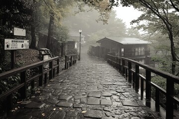 Obraz premium Foggy street with wooden houses and a nostalgic atmosphere