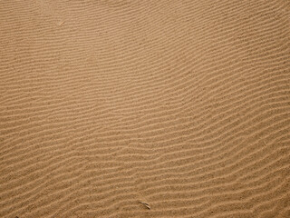 Mesmerizing Sand Dunes Texture: Nature's Rhythmic Patterns in the Ebro Delta, Catalonia, Spain