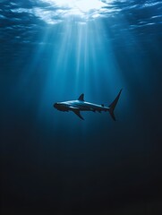 Fototapeta premium A lone hammerhead shark patrolling the ocean depths, moving gracefully through silence.