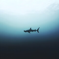 A lone hammerhead shark patrolling the ocean depths, moving gracefully through silence.