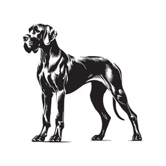 Professional Great Dane silhouette for marketing and branding - Great Dane illustration - minimal Great Dane vector - dog silhouette

